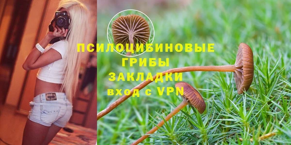 круглые Белокуриха